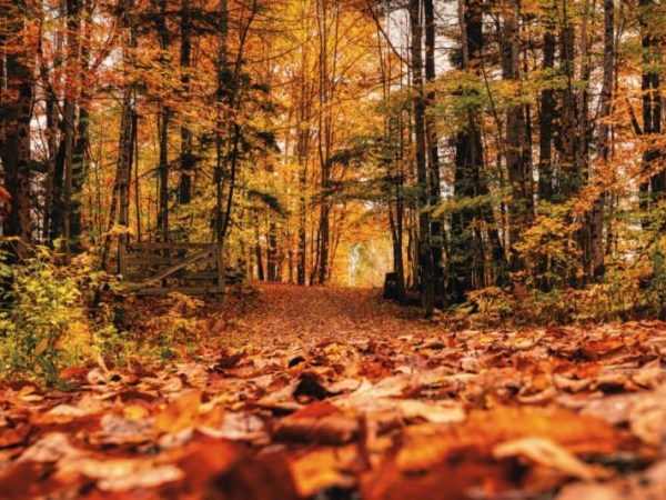 Équinoxe d’automne